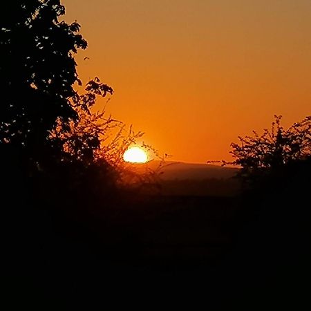 فندق Stargazer Glamping Uk The Mahal 8 People Ross-on-Wye المظهر الخارجي الصورة